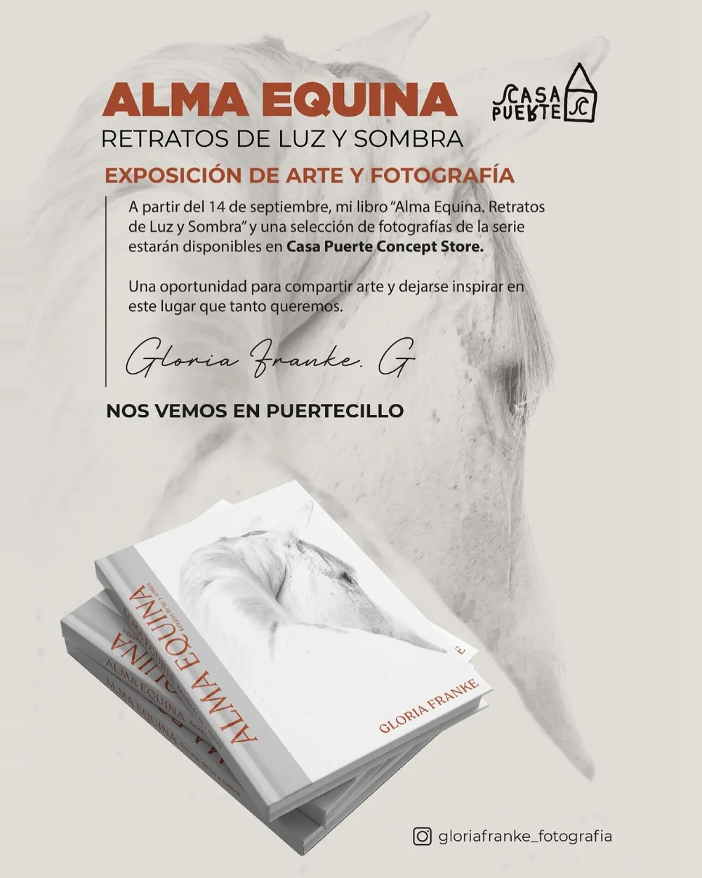 Afiche de Alma Equina, Retratos de luz y sombra: cabeza de un caballo blanco en tonos claros y el libro de Gloria Franke
